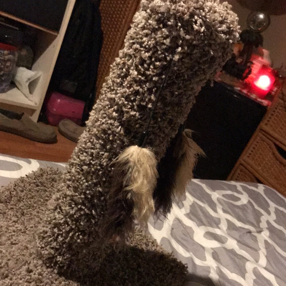 Cat scratch post - Picture 2 of 3